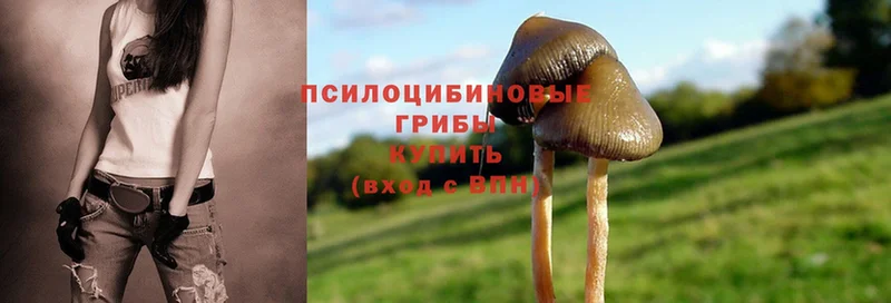 как найти закладки  Ишим  blacksprut как войти  Галлюциногенные грибы Psilocybe 